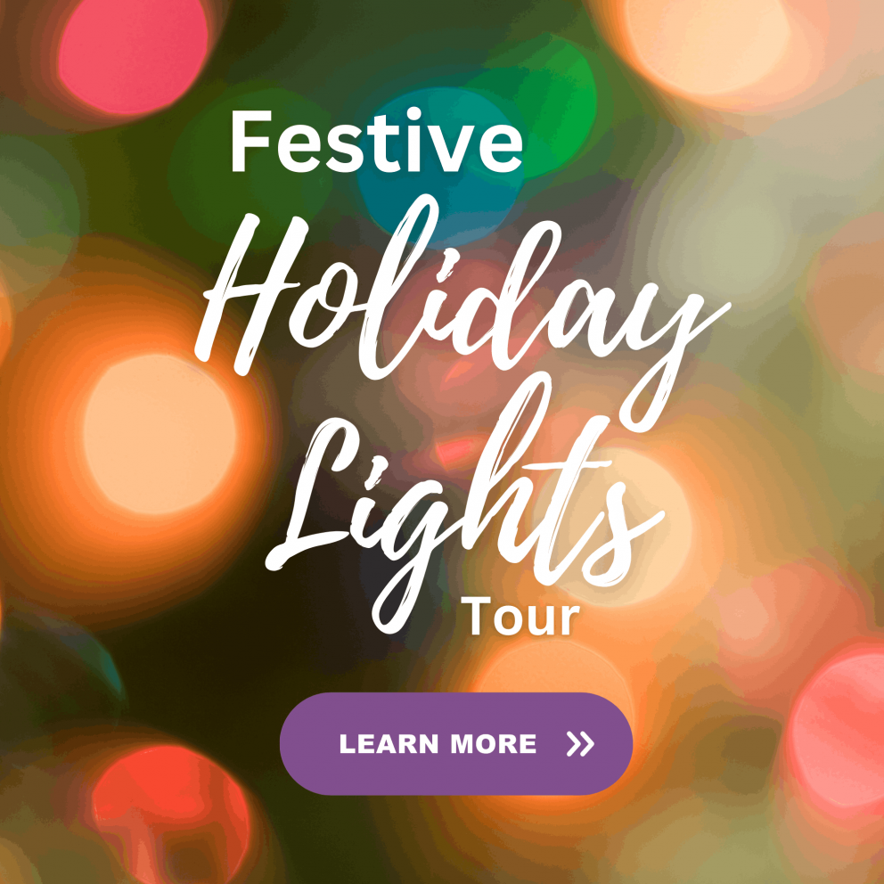 Festive Holiday Lights